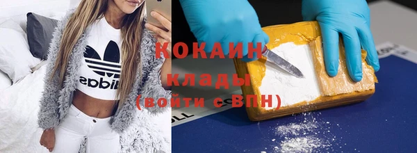 крисы Новодвинск