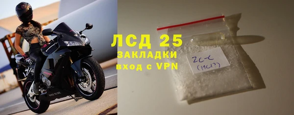 крисы Новодвинск