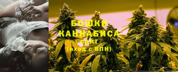 шишки Мурманск