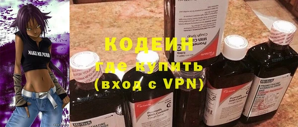 крисы Новодвинск