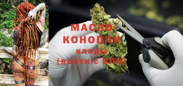 крисы Новодвинск