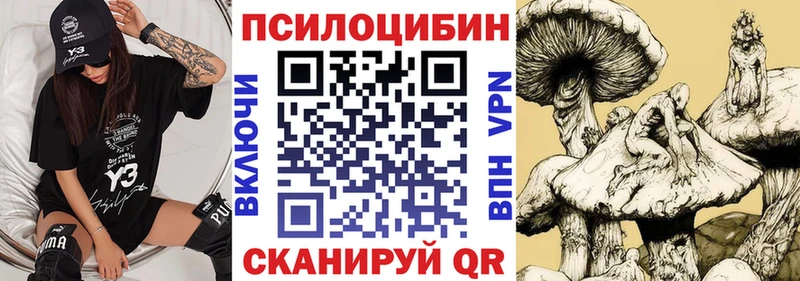 сколько стоит  Нягань  Псилоцибиновые грибы GOLDEN TEACHER 