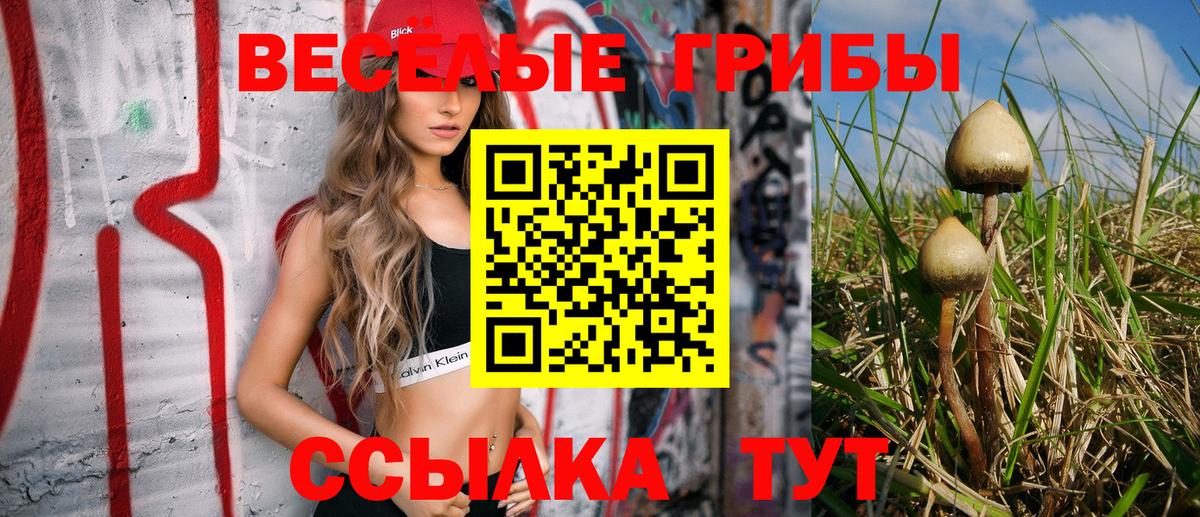 Нягань  Галлюциногенные грибы Magic Shrooms  Вход с VPN 