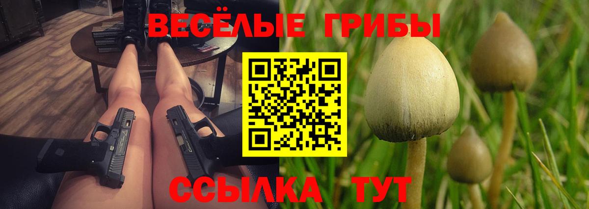 Галлюциногенные грибы Psilocybine cubensis Нягань
